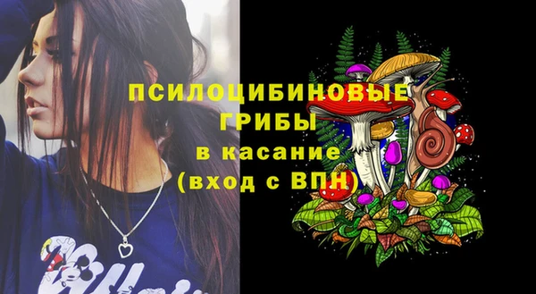 PSILOCYBIN Кулебаки