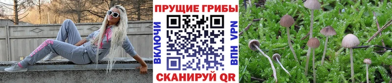 Галлюциногенные грибы мицелий  mega зеркало  Сочи 
