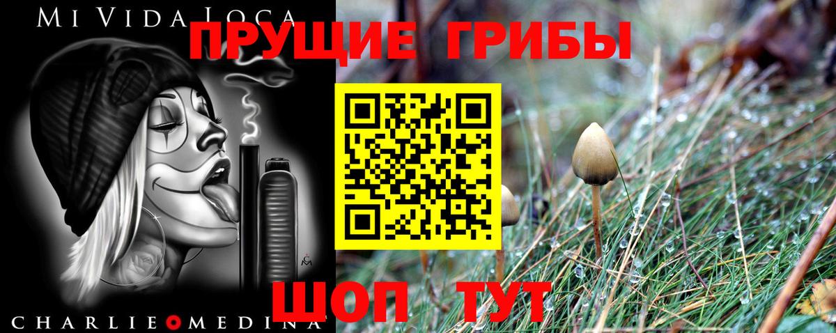 Псилоцибиновые грибы Magic Shrooms  Вход с VPN  Галлюциногенные грибы мицелий  Сочи 